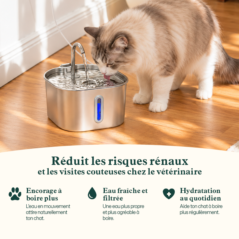 Fontaine à Eau Filtrée pour Chat 2.2L