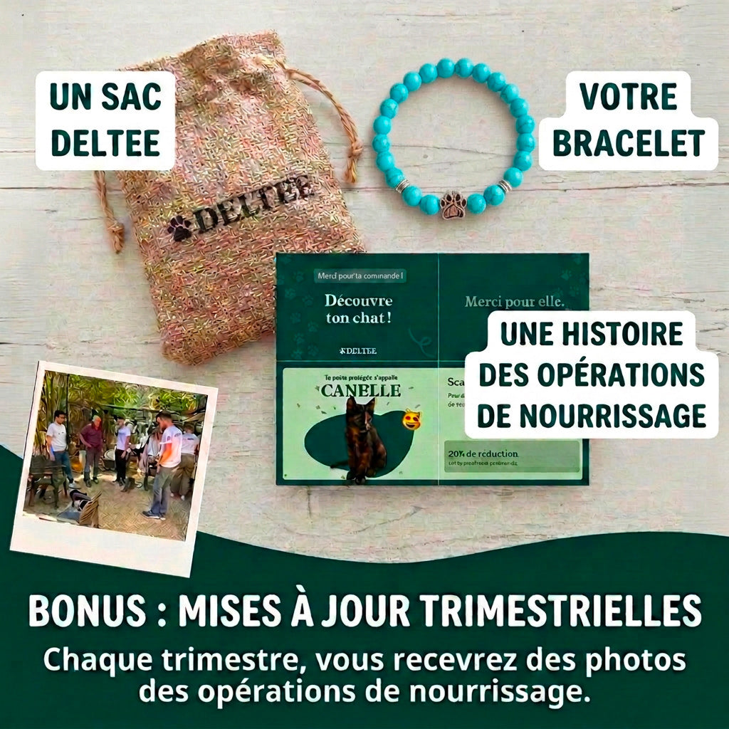 Bracelet Patte Océane