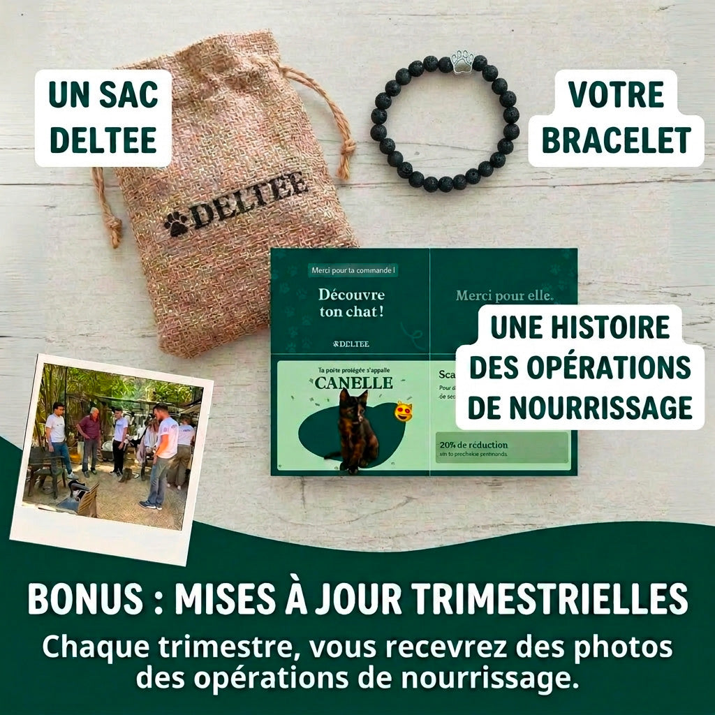 Bracelet Patte Volcanique