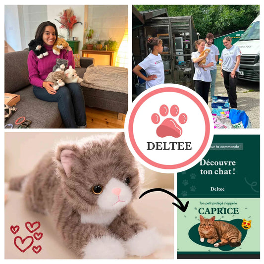 Peluche d'adoption Deltee