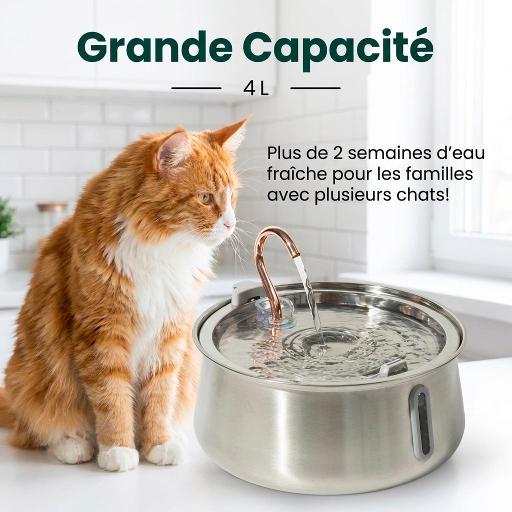 Fontaine Deltee 4l