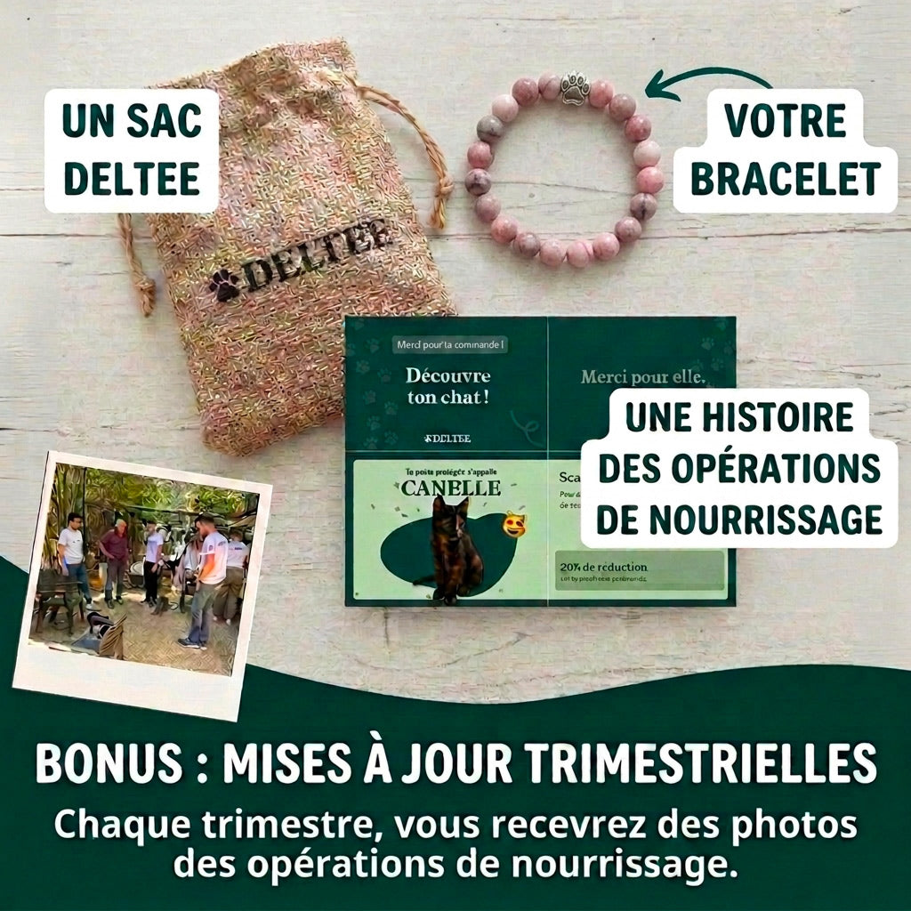 Bracelet Patte Eclat Rosé