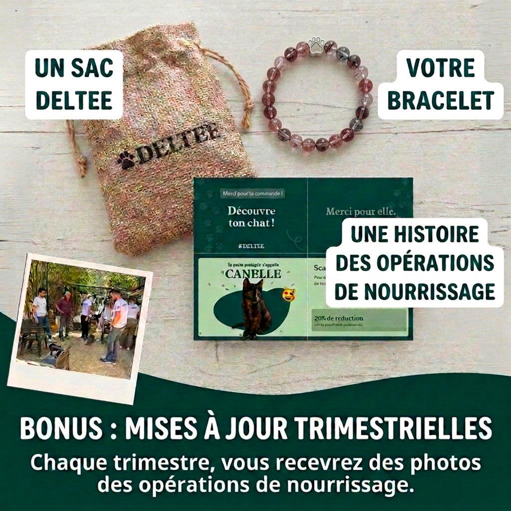 Bracelet Patte Cristaline