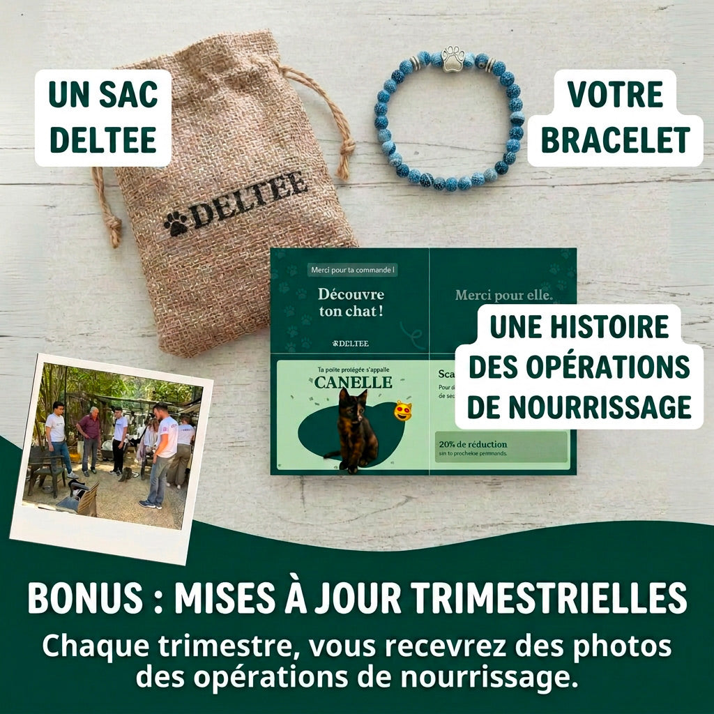 Bracelet Patte d'Azur