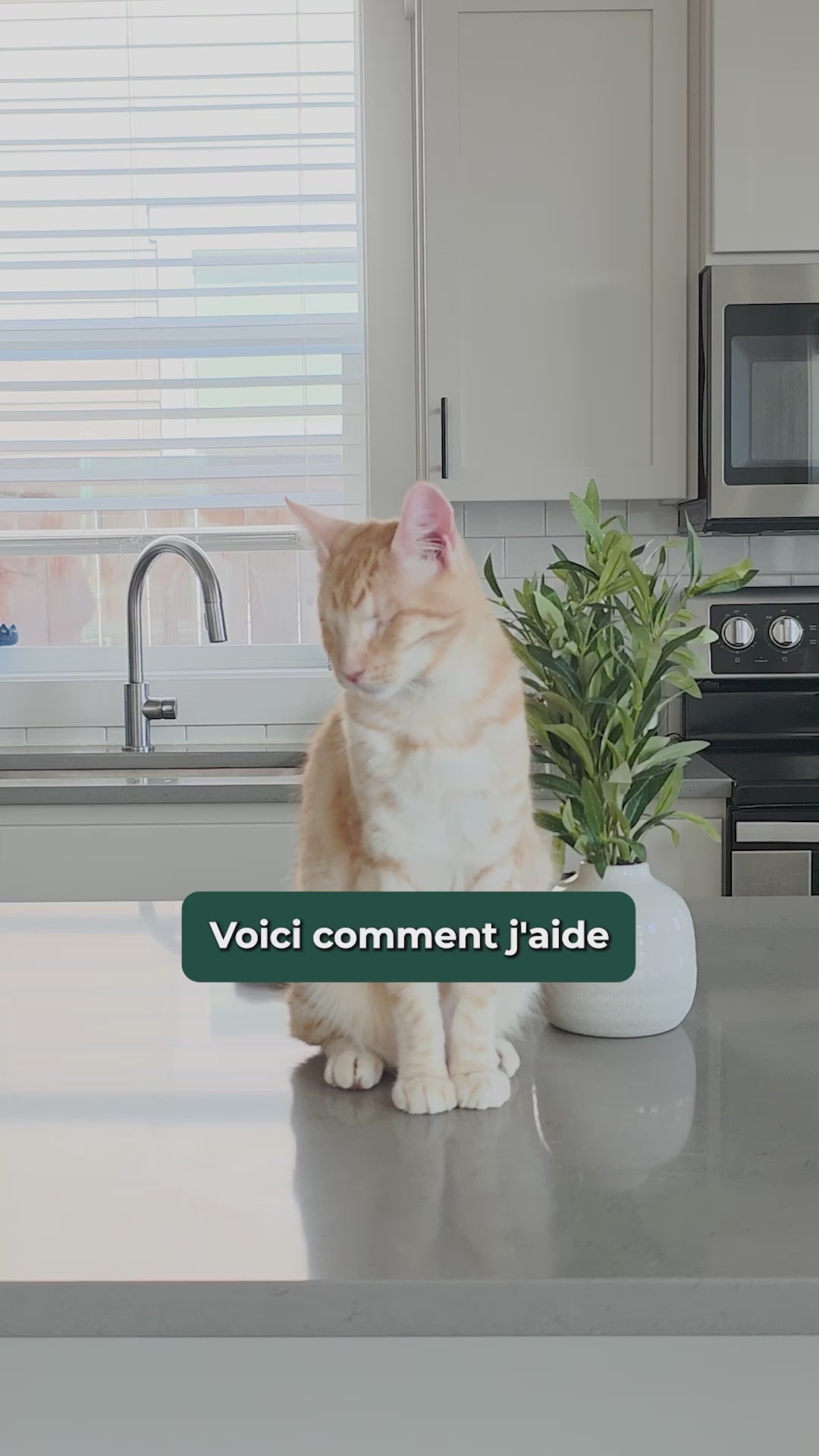 Charger la vidéo : 